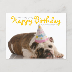 Funny Bulldog Birthday Postcard