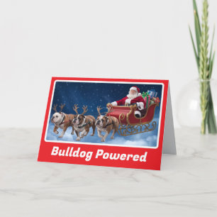 Funny Bulldog Christmas Holiday Card