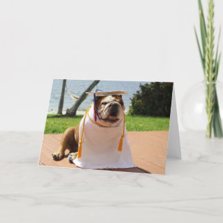 Funny bulldog graduation card