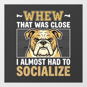 Funny Bulldog Socialise Dog Window Cling