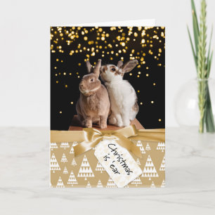 Funny Bunny Christmas Card