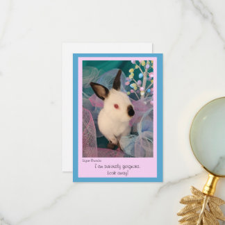 Funny Bunny Flat Greeting Card w/ Envelope