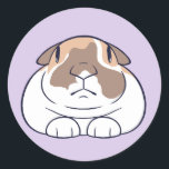 Funny Bunny Sticker! Classic Round Sticker<br><div class="desc">A silly sticker of a silly bunny!</div>
