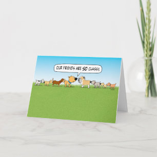 Funny Butt Sniffing Dogs Birthday Card