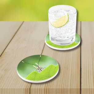 Funny Butterfly Peeks Over Leaf Coaster