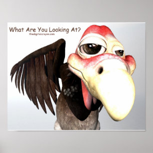 Funny Buzzard Bird "What Are You Looking At?" Poster