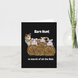 Funny Byrn Hunt In Search Of Rats With A Norwegian Card