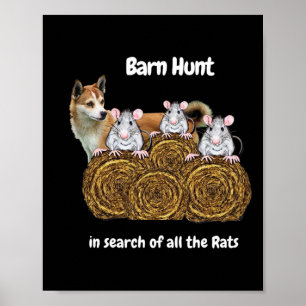 Funny Byrn Hunt In Search Of Rats With A Norwegian Poster