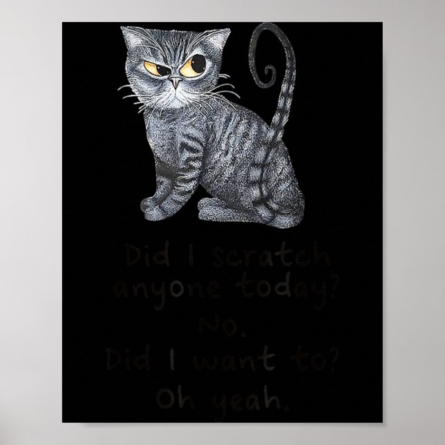 Funny Ca_ Sarcastic Cat Did I Scratched Anyone Tod Poster (Front)