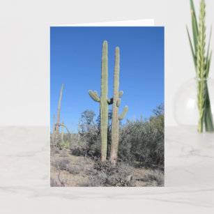 Funny Cactus Anniversary Card