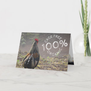 Funny Cage Free Rooster Happy Birthday Card
