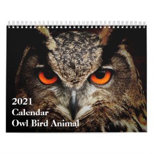 Funny Calendar: Owl Bird Animal Calendar