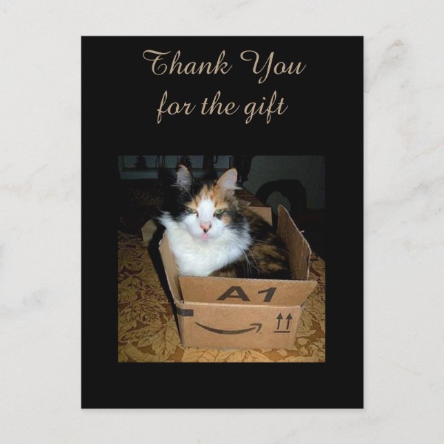 Funny Calico Cat in Box Thank You Postcard (Front)