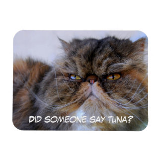 Funny Calico Persian Cat Premium Magnet