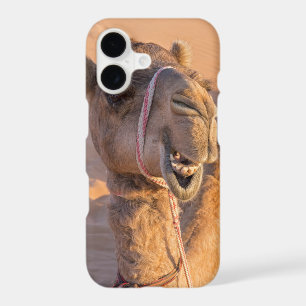Funny Camel