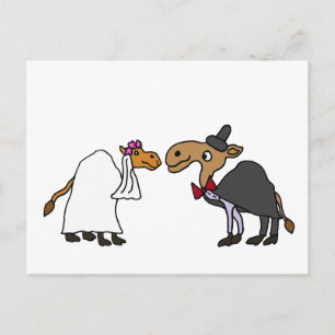 Funny Camel Bride and Groom Wedding Cartoon Postcard