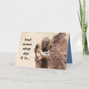 Funny Camel Hump Day Easter Card (blue)
