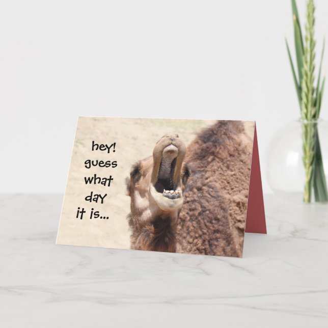 Funny Camel Hump Day Easter Card (pink) (Front)