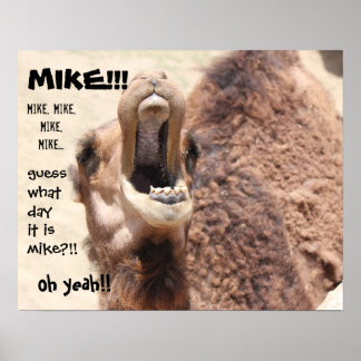 Hump Day Posters & Prints | Zazzle.co.uk