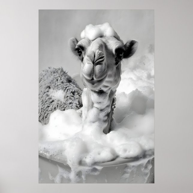 Funny Camel in Bathtub Print, Vintage Bathroom Poster (Front)
