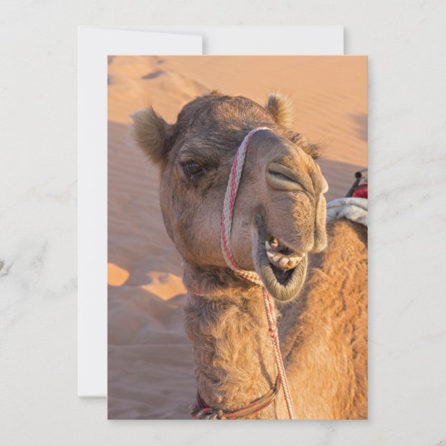 Funny Camel Invitation (Front)