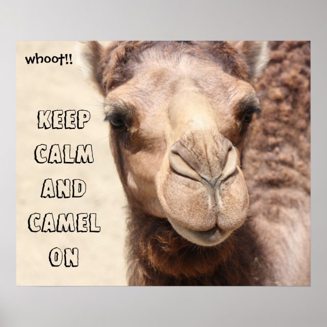 Funny Camel Poster Keep Calm and Camel On (whoot!) (Front)