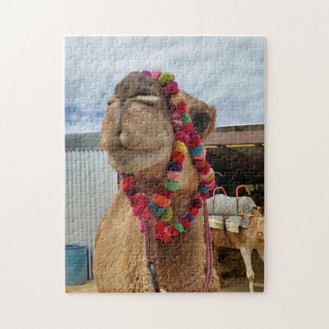 Funny Camel  Puzzle (Vertical)