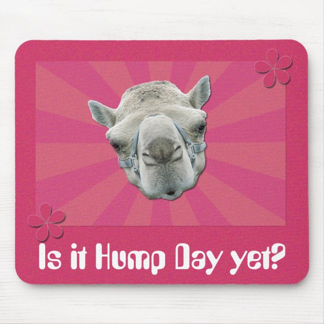 Funny Camel Retro Sunburst and Flowers Hump Day Mouse Mat (Front)