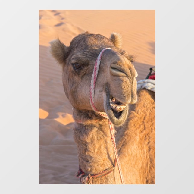 Funny Camel Window Cling (Sheet)