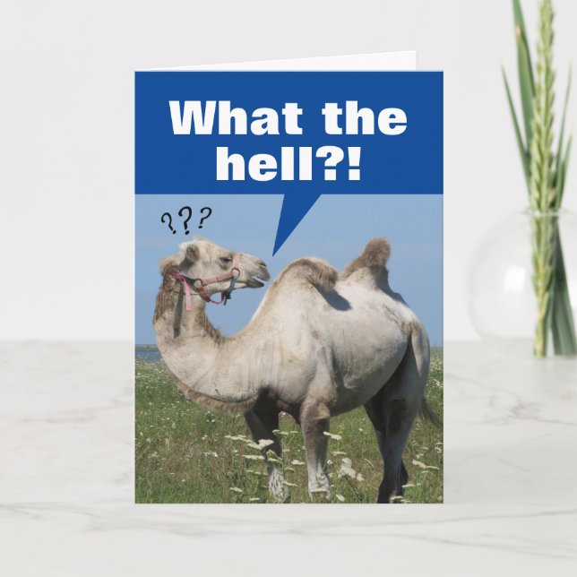 Funny Camel With Droopy Humps Birthday Card (Front)