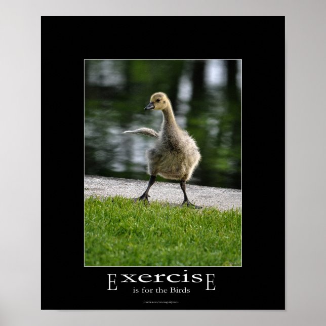 Funny Canada Goose Gosling Exercise Demotivational Poster (Front)