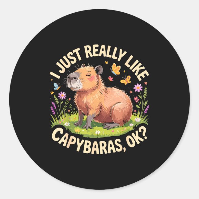 Funny Capybara Art For Men Women Kids Capy Rodent  Classic Round Sticker (Front)