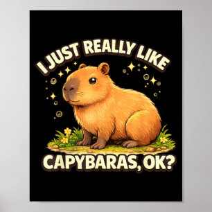 Funny capybara art for men women kids capy rodent poster