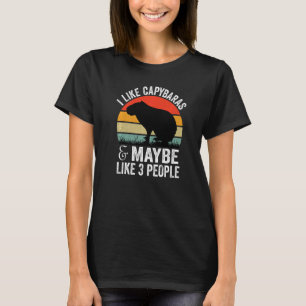 Funny Capybara Gifts I Like Capybaras and Maybe 3  T-Shirt