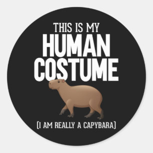 Funny Capybara Lover Cute Animal Classic Round Sticker