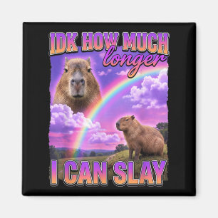Funny Capybara Meme Idk How Much Longer I Can Slay Magnet