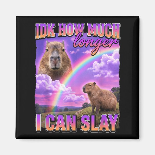 Funny Capybara Meme Idk How Much Longer I Can Slay Magnet (Front)