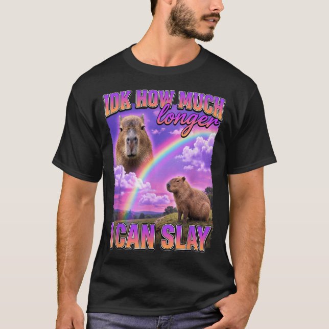 Funny Capybara Meme Idk How Much Longer I Can Slay T-Shirt (Front)