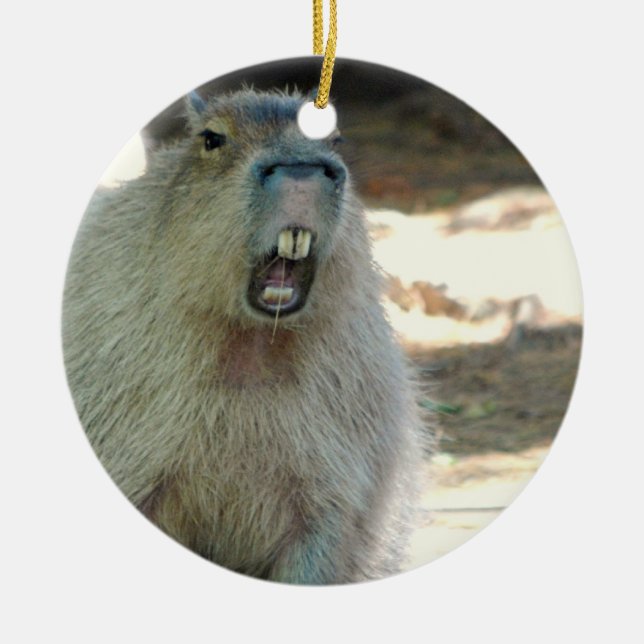 Funny Capybara  Ornament (Front)