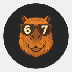 Funny Capybara Sungles 67 Six Seven Meme  Classic Round Sticker