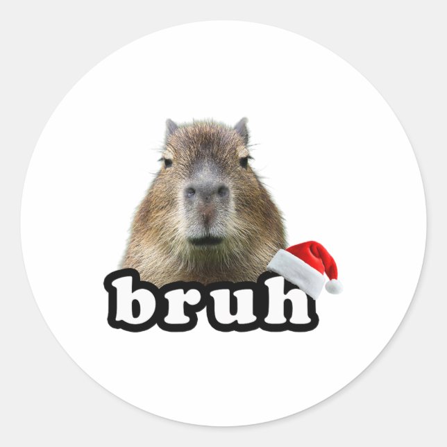 Funny Capyra Christmas  Classic Round Sticker (Front)