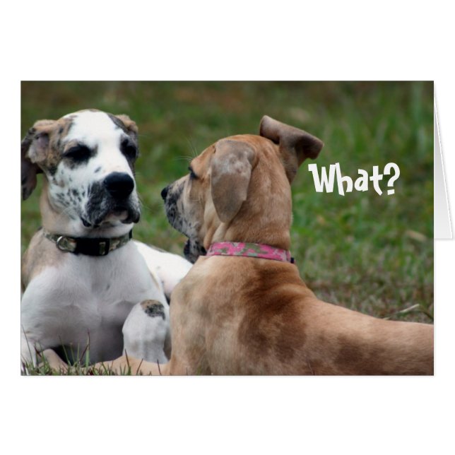 Funny Card Awkward (Front Horizontal)