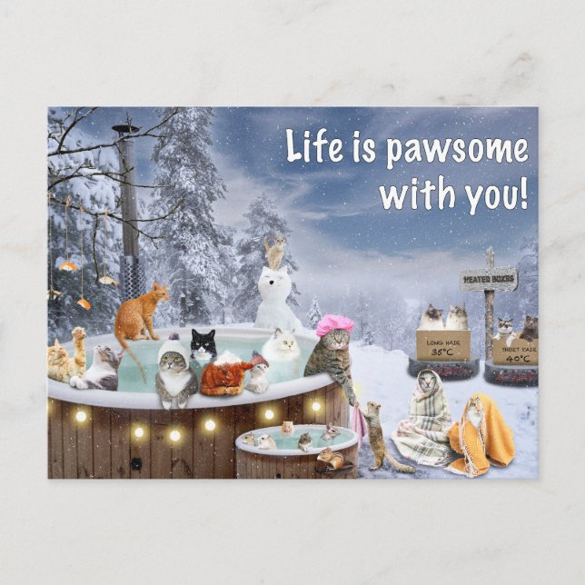 Funny Card Showing Cats Relaxing In Hot Tub (Front)