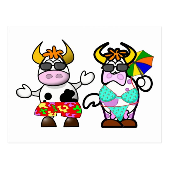 Funny Cartoon Beach Cow Couple Post Card