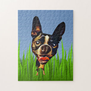 Funny Cartoon Boston Terrier 252 Piece Puzzle