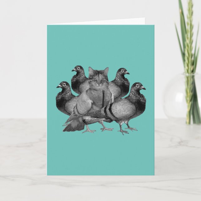 funny cat amongst the pigeons holiday card (Front)