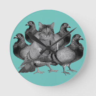 funny cat amongst the pigeons round clock