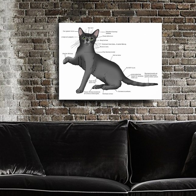 Funny Cat Anatomy Diagram Humor Nerdy Poster (Creator Uploaded)