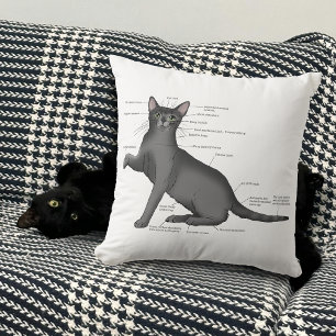 Funny Cat Anatomy Diagram Humour Nerdy Cushion