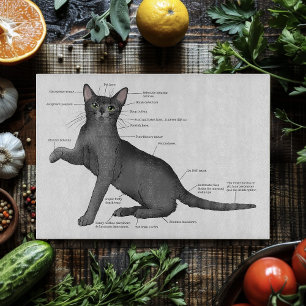 Funny Cat Anatomy Diagram Humour Nerdy Cutting Board